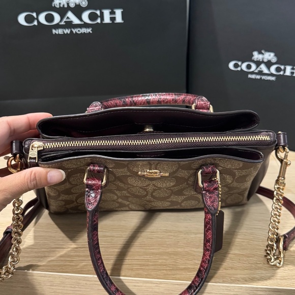 Coach Mini Sage Carryall Satchel Crossbody Bag Brown/Red Signature Canvas F84623 - Picture 6 of 13
